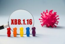 Thailand detects 6 new cases of Omicron XBB.1.16 subvariant and one XBB.1.16.1 | Thaiger