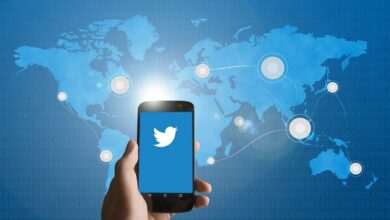 Twitter’s blue tick removal sparks concerns