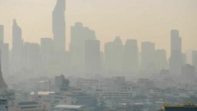 Breathe easier: 7 tips to combat Thailand’s poor air quality