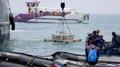 Royal Thai Navy releases artificial coral reefs to boost eco-tourism and marine conservation