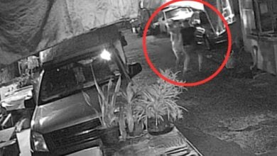 Woman survives kidnapping near her house in Bangkok 