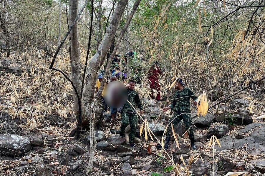 Thai man hunting honey in forest dies from bee stings