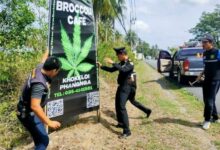 Mai Khao authorities in Phuket enforce removal of illegally posted signs | Thaiger