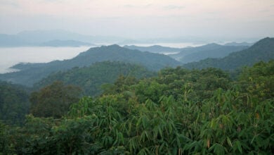 Karen villagers’ settlement in Kaeng Krachan National Park sparks public outcry