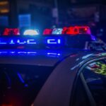 American drunk driver tried to switch seats with dog to dodge arrest | Thaiger