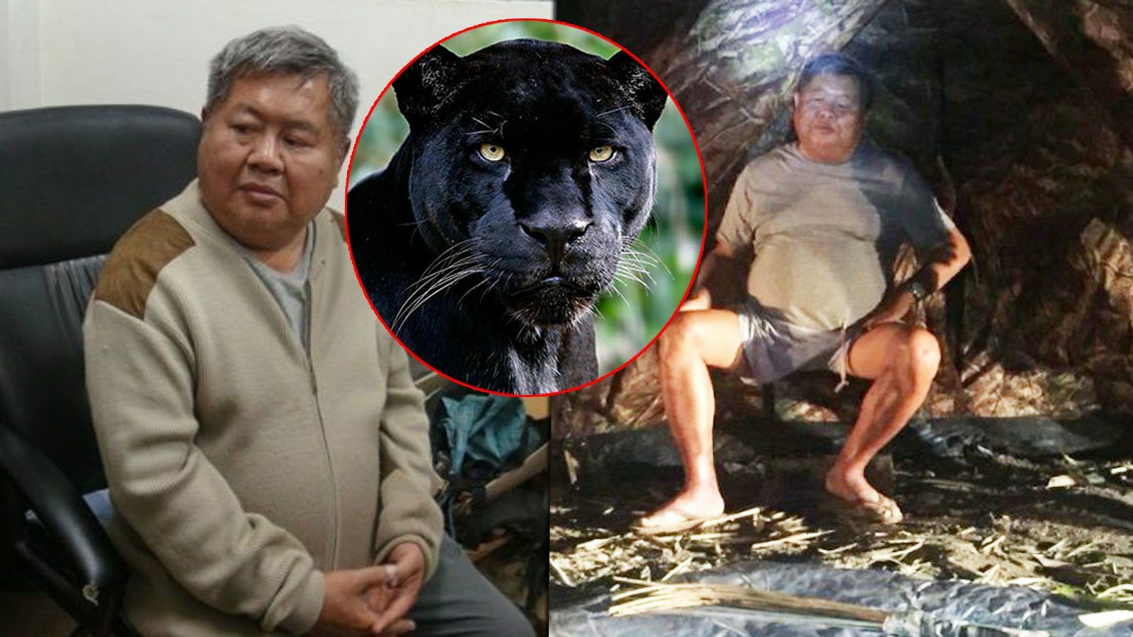 King of Thailand strips Premchai of insignia over outcome of ‘black panther’ case