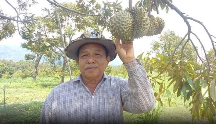 Thai durian farmers on the lookout for thieves after prices jump