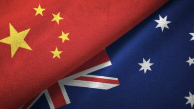 China to resume Australian timber imports, PM Albanese plans Beijing visit