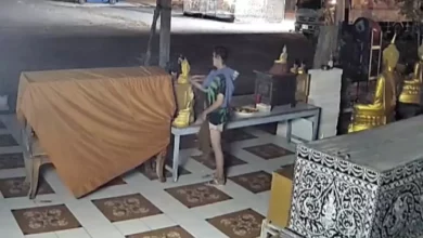 Transwomen caught on CCTV stealing Buddha statue from Thai temple