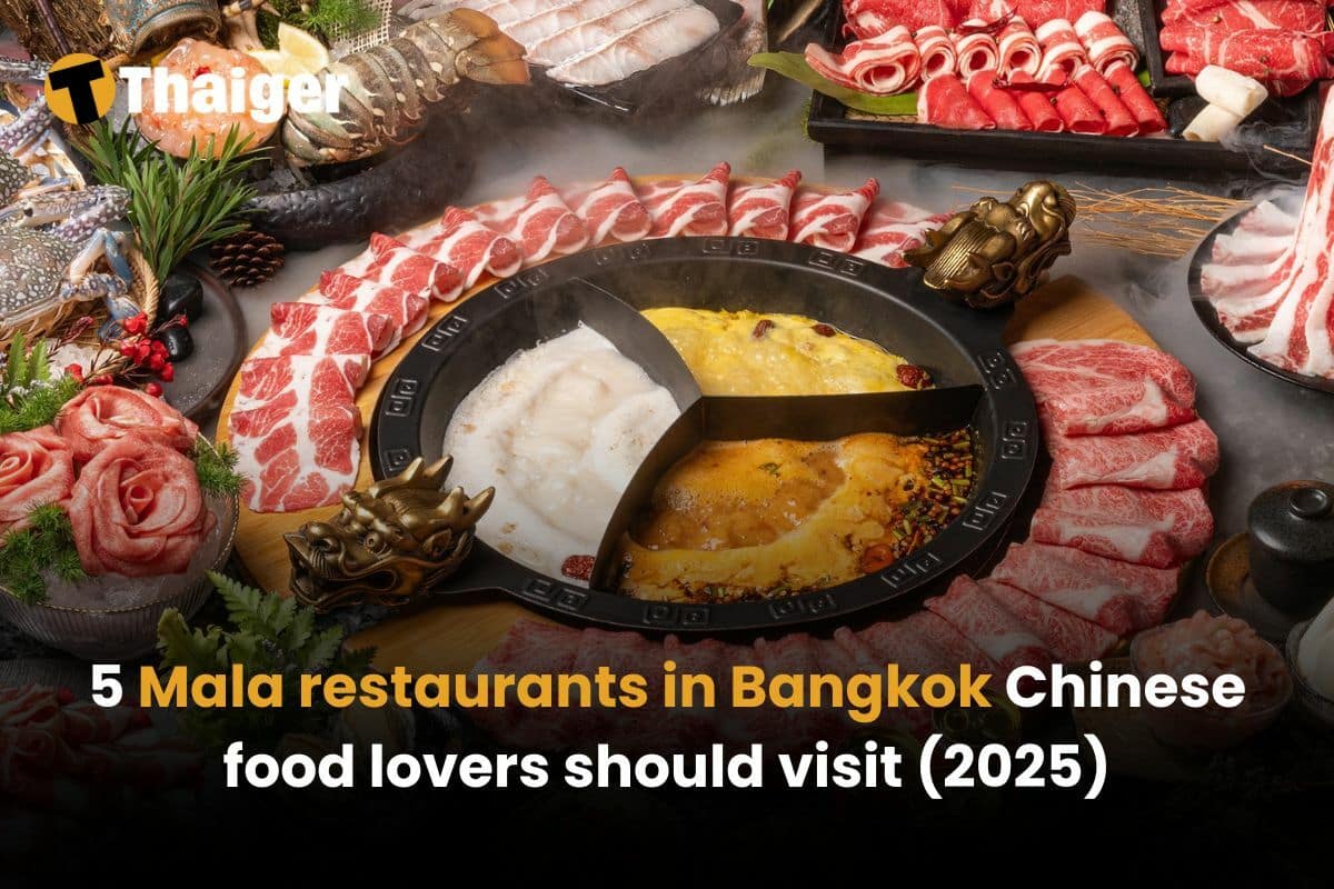 5 Mala restaurants in Bangkok Chinese food lovers should visit