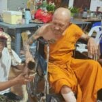 Thai man saves python from cooking pot, offers it to monks | Thaiger