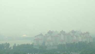 El Nino set to return in 2023, raising haze risk for Singapore