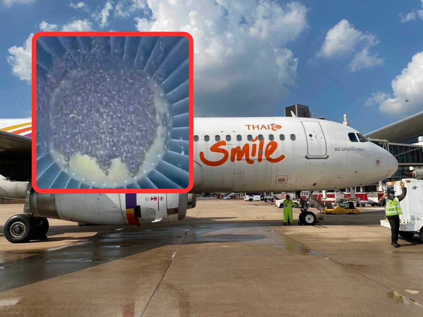 Swarm of giant honey bees cause chaos at Thailand airport