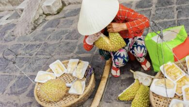 China’s durian imports surge as Vietnam challenges Thai dominance