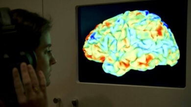 Brain scans and AI could transcribe what people are thinking