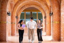 10.8 million baht found in dead abbot's quarters, dean of monks says family has no right to the money | News by Thaiger