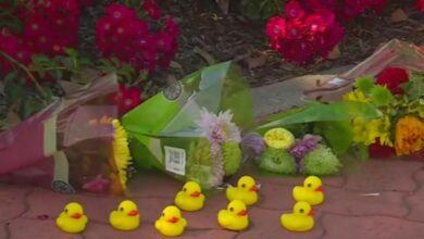 Tragedy in rocklin: Man killed while rescuing ducks, teen driver involved