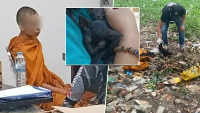 Disturbed Buddhist monk in Thailand adopts, kills and burns at least 18 cats
