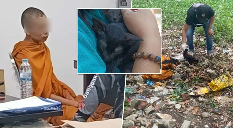 Disturbed Buddhist monk in Thailand adopts, kills and burns at least 18 cats