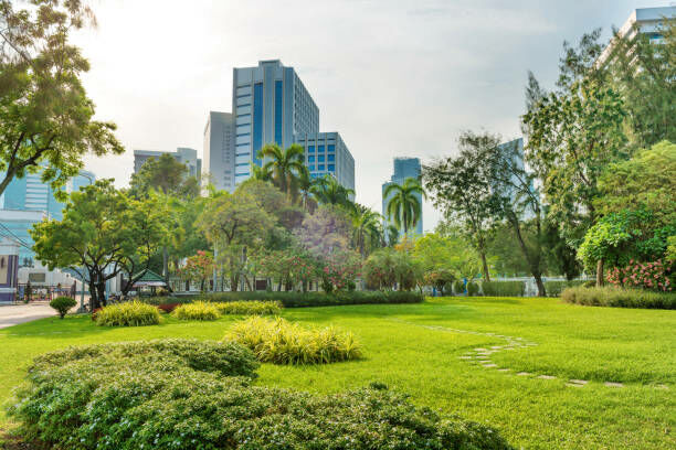 Bangkok seeks 90 billion baht budget approval for green spaces and pollution projects