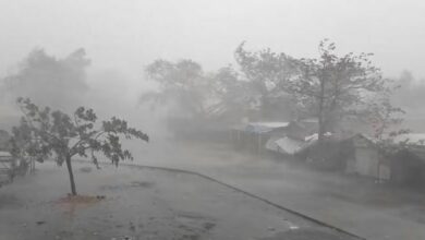Cyclone Mocha wreaks havoc on Myanmar, disrupts Rakhine state communications