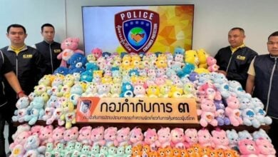 Over 1,000 Care Bears toys seized for failing to meet TIS
