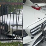 Angry &#8216;sugar mommy&#8217; purposely crashes BMW into man&#8217;s house and cars, accuses him of being a prostitute | Thaiger