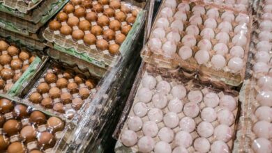 Malaysia to float egg and chicken prices, ending subsidies from July