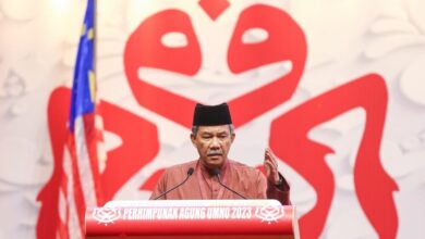 Umno deputy urges revival efforts after election losses