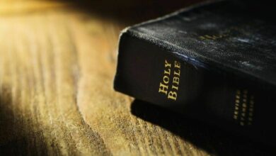 Utah school district removes Bible for ‘vulgarity and violence’ concerns