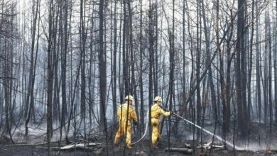 Canada faces worst wildfire season on record, burning area size of Belgium