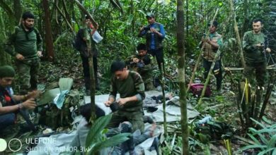 Mother dies in Amazon crash, kids survive 40 days before rescue