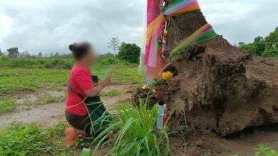 Kabin Buri shop owner finds fortune in ancient tree, wins 500,000 baht in lottery