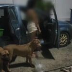 Unhinged Thai son attacks mother in dog discipline dispute | Thaiger