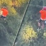 Young boy narrowly escapes tragedy after falling from zip line in Mexico | Thaiger