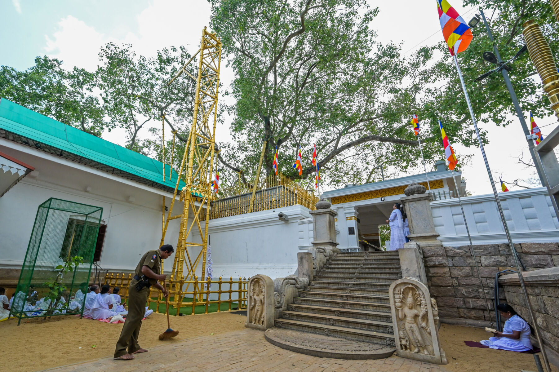 Sri Lanka dispels 5G threat to sacred tree after fake news frenzy