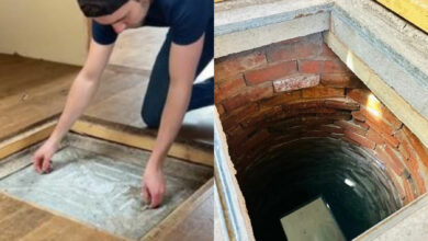 Couple uncovers century-old secret well beneath kitchen floor during renovation