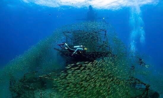 Scuba Diving, Koh Chang, Thailand, HTMS Chang Wreck