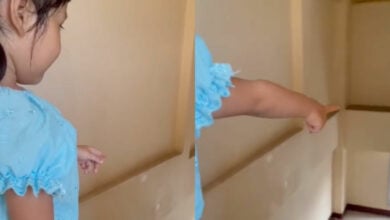 Viral spectre sensation: Young girl’s chilling ghost encounter haunts the Internet with over 3 million views