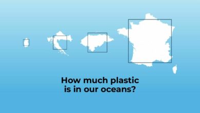 World Ocean Day highlights alarming growth of plastic waste in seas