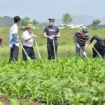 North Korea orders city workers, students to farms amid escalating starvation deaths | Thaiger
