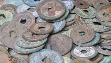 Chinese security forces thwart tomb-raiding gang and recover Song Dynasty coins