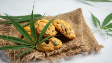 11 year old girl hospitalised after eating cannabis-laced cookies