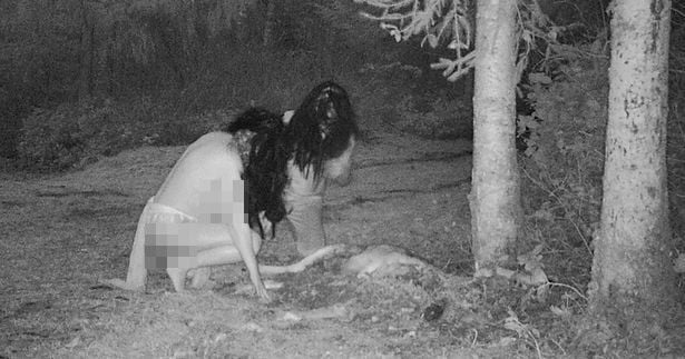 Witches brew: Canadian captures semi-naked women feasting on dead deer