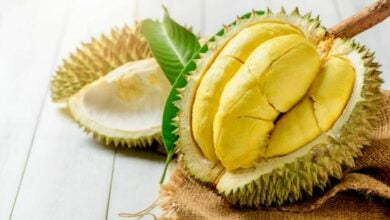Durian surplus sparks joy in Singapore as Malaysian supply surges