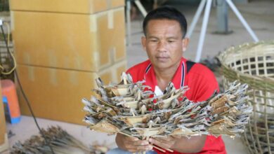 Unique Thai village profits from hot-season tokay gecko trade exports to China