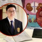 New kidney disease test kit offers 94% accuracy, eases early diagnosis access | Thaiger