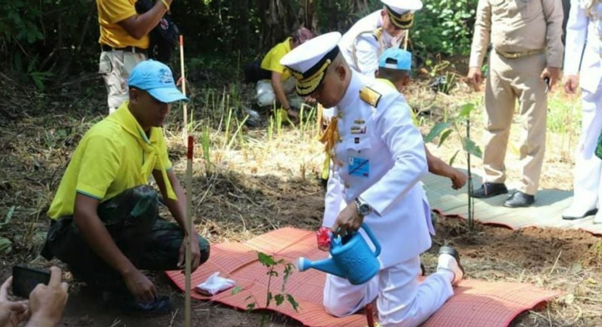 Thai Navy plants trees in Phuket to honour Queen's birthday | Thaiger