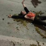 Scat-astrophic sensation: OnlyFans model&#8217;s quirky act with horse poop breaks the Internet (video) | Thaiger