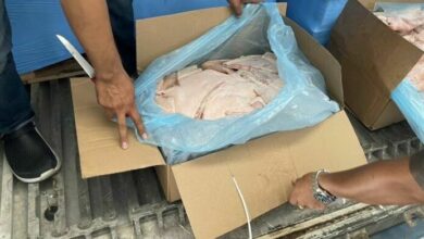 Illegally imported pork carcasses spark disease concerns in Thailand